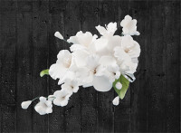 Sugar Flower Bouquet Orchids Dendrobia White Sugar Flower Bouquet Orchids Dendrobia White