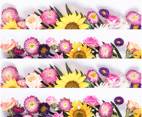 Tortenband fresh flowers essbar- 4 Stück á 24cm x 5cm