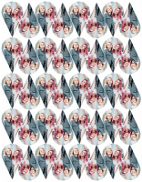 Printed Plug in Wafer individual 50x30mm - 40 Piece Printed Plug in Wafer individual 50x30mm - 40 Piece