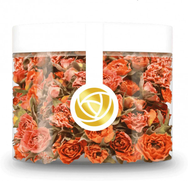 Rosie Rose Rosenblüten - Orange Sunrise